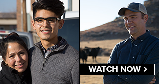 Watch Now